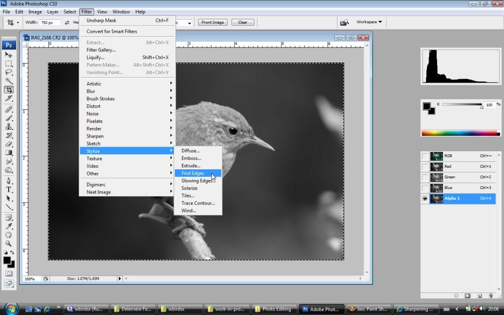 adobe photoshop cs3 free download trial version for windows 8